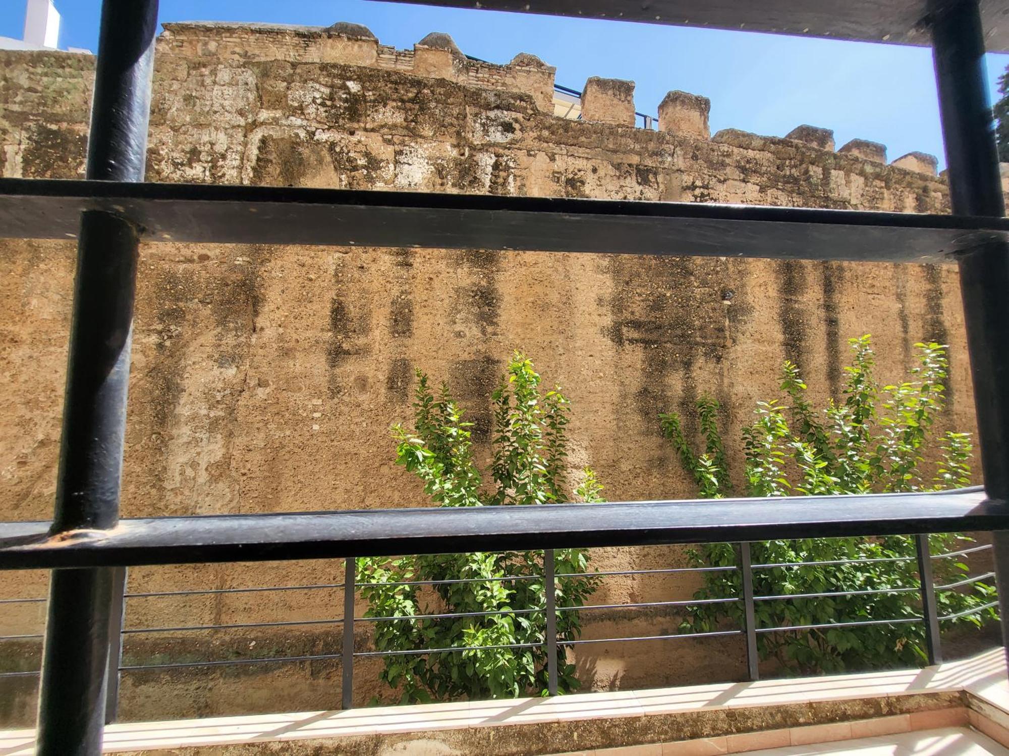 Rentalsevilla Sol Exterior photo